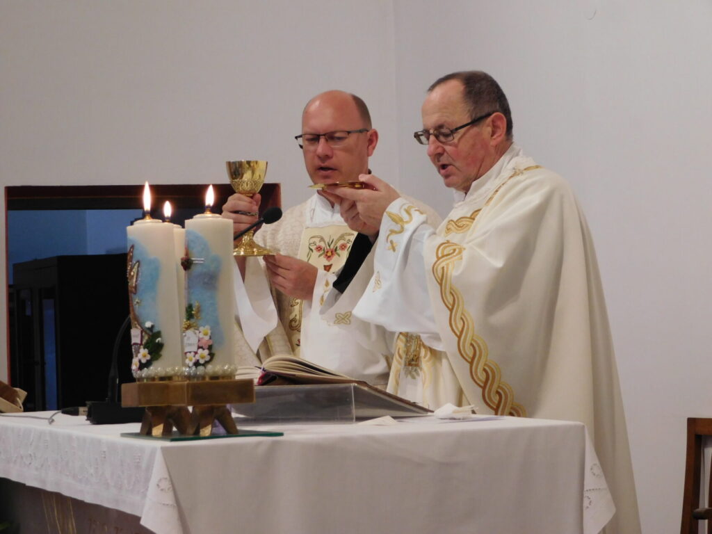 Proslavljeno proštenje Gospe Karmelske u Brezovici